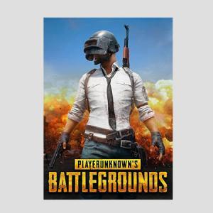 PlayerUnknowns Battlegrounds (PUBG)